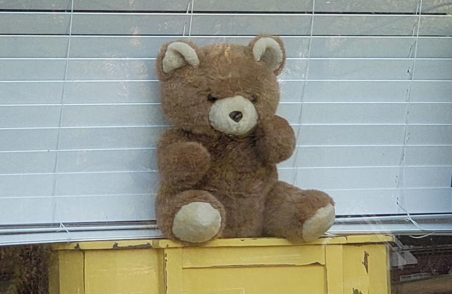 Bear hunts underway